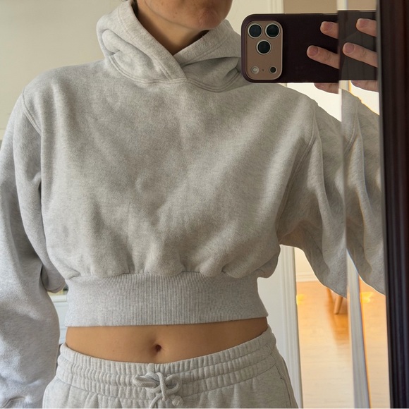 Aritzia Tops - Aritzia cropped Hoodie